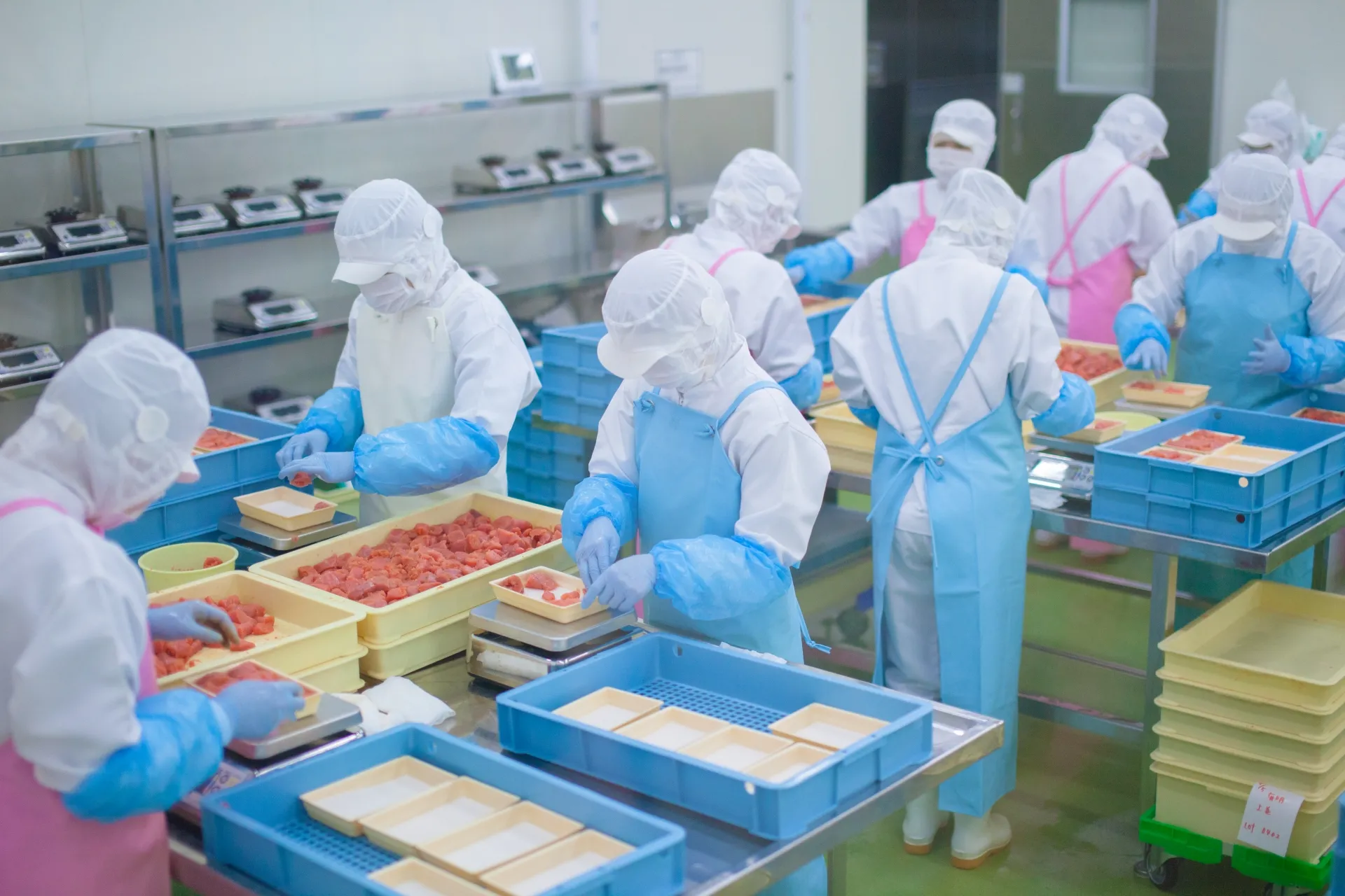 food-processing-factory
