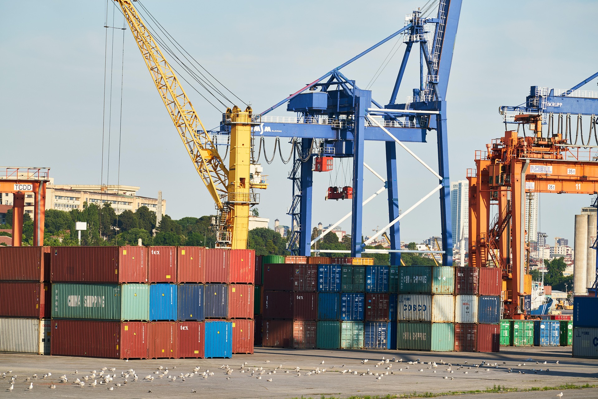 engin_akyurt-container-4465494_1920